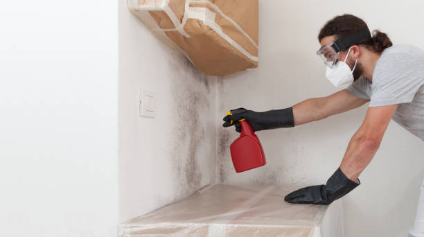 Professional Attic Mold Removal technician working in Wenham, MA